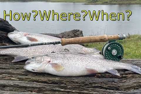 Trout fishing| fly fishing| Fishing in the rain