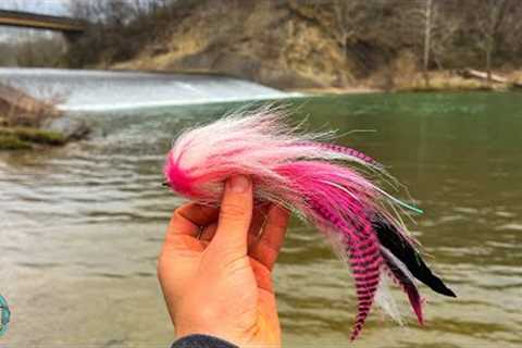 Fly Fishing for a True River Monster! (Musky Fishing)