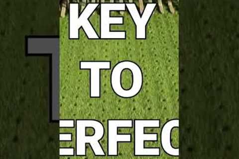 The key to perfect Grass 🔑
