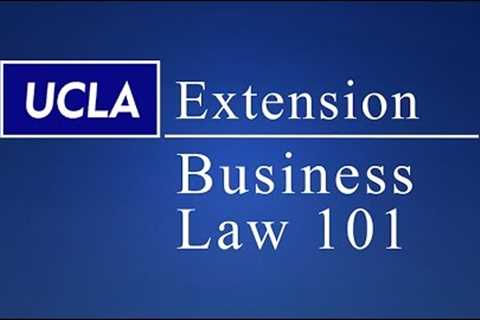 Business Law 101