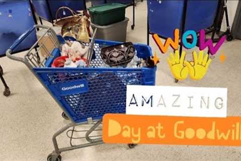 Should I Get Another Cart?! - Shop Along With Me - Goodwill Thrift Store