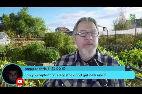 Can You Have Too Many Plants? (Q&amp;A)