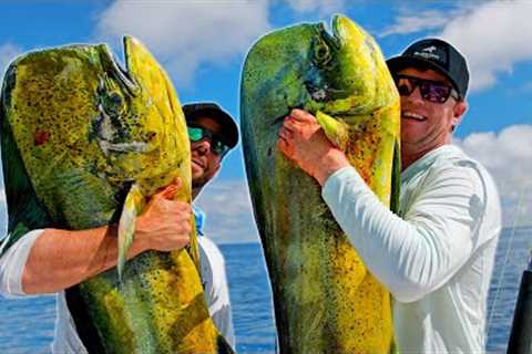 Massive Dolphin in Panama - Deep Sea Fishing