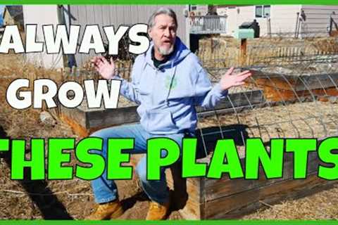 5 Plants I ALWAYS Grow