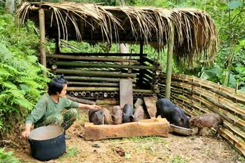 Survival, Skills, Make a bamboo fence for pigs, build a farm life, survival skills