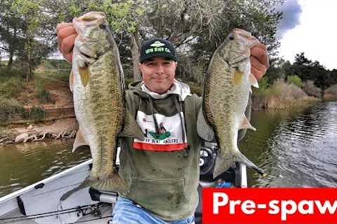 Fishing Between Storms/Pre Spawn Bass/Chatterbait-Castaic Lake