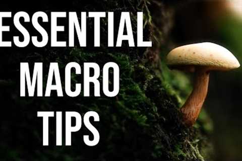 Essential macro tips I wish I'd known earlier