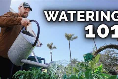 7 Tips to Water Your Garden Perfectly 🌻🚿
