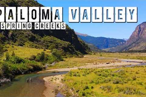 Fly Fishing Patagonia's Paloma River Valley &amp; Spring Creeks for Rainbow &amp; Brown Trout