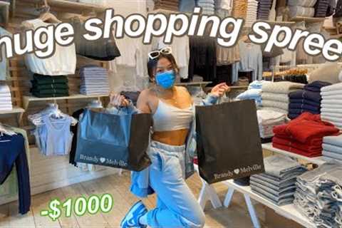 NO BUDGET SHOPPING SPREE IN LA! come shopping w/ me vlog