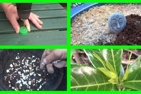 10 Money Saving Gardening Hacks! Tips! Ideas!