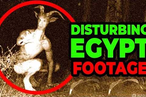 Most Disturbing Creatures Ever Caught on Trail Cam No one was supposed to see