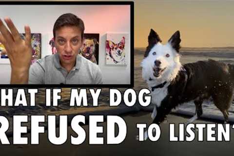 Building a Super Solid Recall! ￼What If My Dog REFUSED Come When Called?