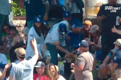 Dog Catches MLB Home Run Ball; Good Boy Keeps Away From Those Two-Legged Fans