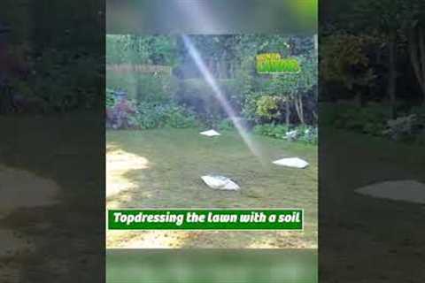 Full lawn renovation (start to finish)