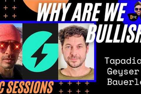 WHY ARE WE BULLISH? Anant Tapadia, Geyser Fund, Nolan Bauerle