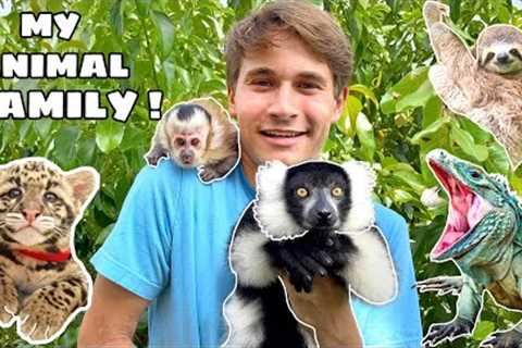 MEET ALL MY EXOTIC PETS ! FULL ZOO TOUR !