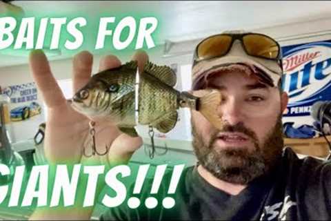 Lake Fork Top Baits For Megabass Bass Fishing Tournament: Baits For Giants!!!