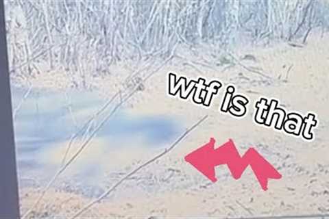 unknown creature caught on trail camera