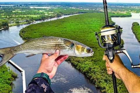 The Bigger The Bait The Bigger The Fish...