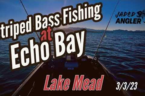 3/3/23 STRIPED BASS FISHING AT ECHO BAY, LAKE MEAD