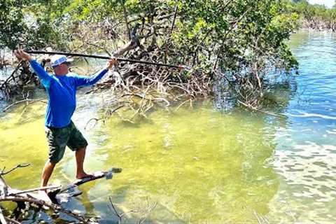 Primitive Fishing with a Hand Spear! (Catch Clean Cook)