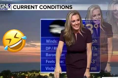 News Bloopers  Funny News