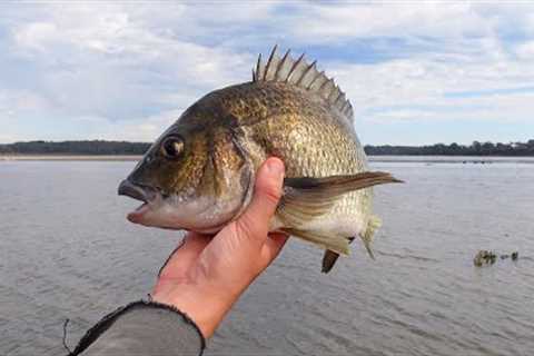 How To Catch Bream On Lures - Land Based Fishing Techniques