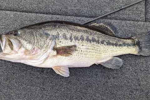 Table Rock Lake Video Fishing Report Mar 28, 2023 short