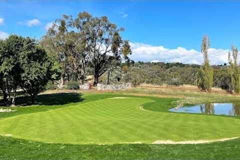 I'm Mowing Everyday on My Golf Green // Mowing and Fert in the Rain