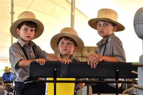 Amish Traditions: Lancaster County Carriage and Antique Auction