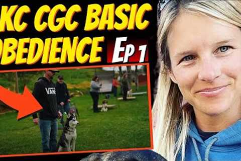 Ace the AKC Canine Good Citizen Test with These Expert Dog Training Tips!