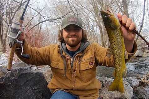 “SPRING” Trout Fishing CATCH &amp; COOK!!