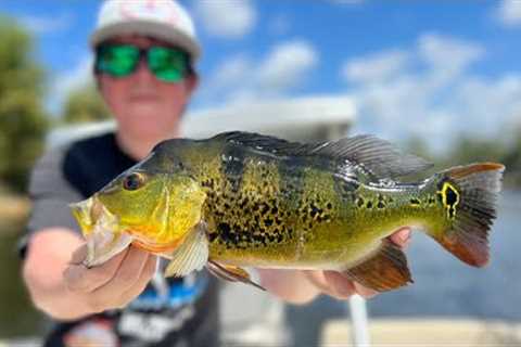 Our First Ever Peacock Bass Catch And Cook!