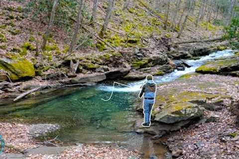Fly Fishing an Incredible Small Creek! (WEIRD DAY OF FISHING)
