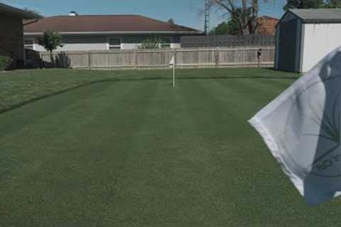 Cool Season Lawn Guide // Weed Control