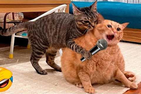 Funny Cats and Dogs Videos 🤣 - Funniest Animal Videos 2023! 🥰 #1