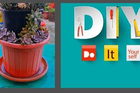 Beautiful and Easy Succulent Planter DIY|Explore your hobbies!!!
