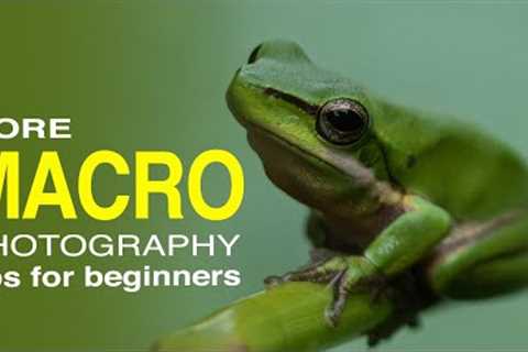 MORE MACRO Photography Tips for Beginners - outdoor macro photography using extension tubes.