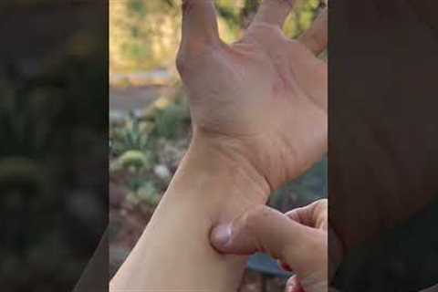 Release Gas in the Body, Support Digest System | Press this Acupressure Point (PC6) Daily #shorts
