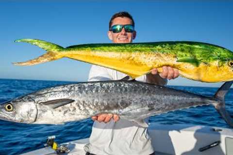 PRIZED vs.TRASH Fish on NEW Boat! Catch Clean Cook (Twin Vee 280GFX)