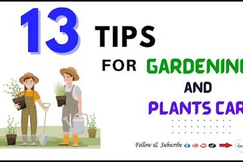 13 Tips For Gardening and Plants Care | How To Improve Gardening | ipresents