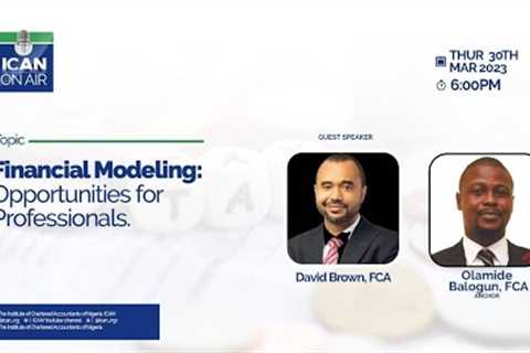 FINANCIAL MODELLING; Opportunities for Professionals