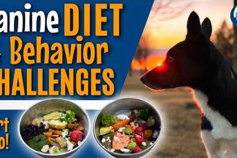 Dog Behavior And Diet: Recovery For This! Beyond Dog Training Part 2 #204 #podcast