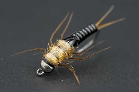 The ONLY Stone Fly YOU Need!