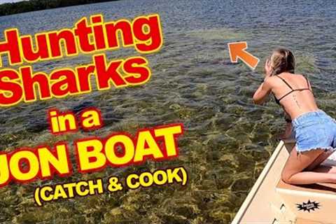 Hunting Sharks in a JON BOAT {catch and cook}
