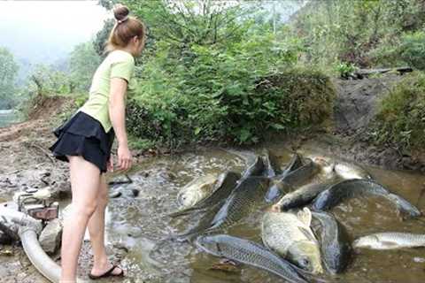 TOP 1 FISHING VIDEO, Survival Skills In The Forest, Catch A Lot Of Fish, Living Off Grid