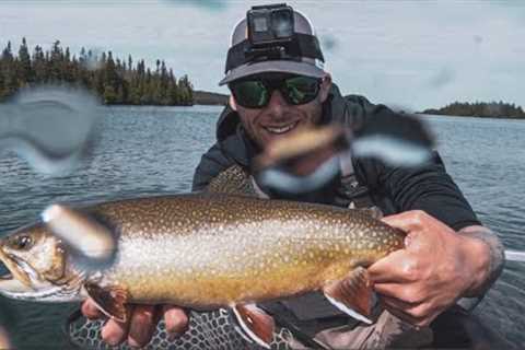Fly Fishing Lake Superior Coaster Brook Trout | Dark Waters Fly Shop