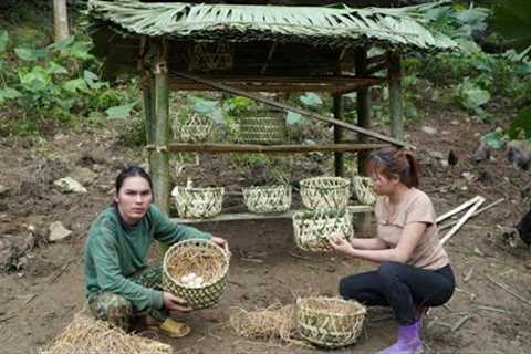 Making a bamboo house for chickens to lay eggs, farmer's life, survival alone