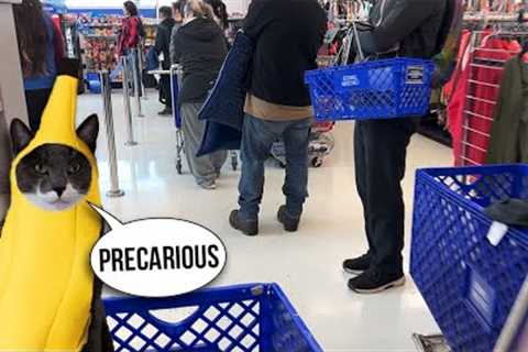 I Have Never Seen The Goodwill Like This Before. ( Thrift With Me )